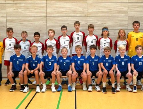 D-Jugend männlich (Jahrgang 2014-2015)